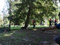 Tn 0236 DSC 5541